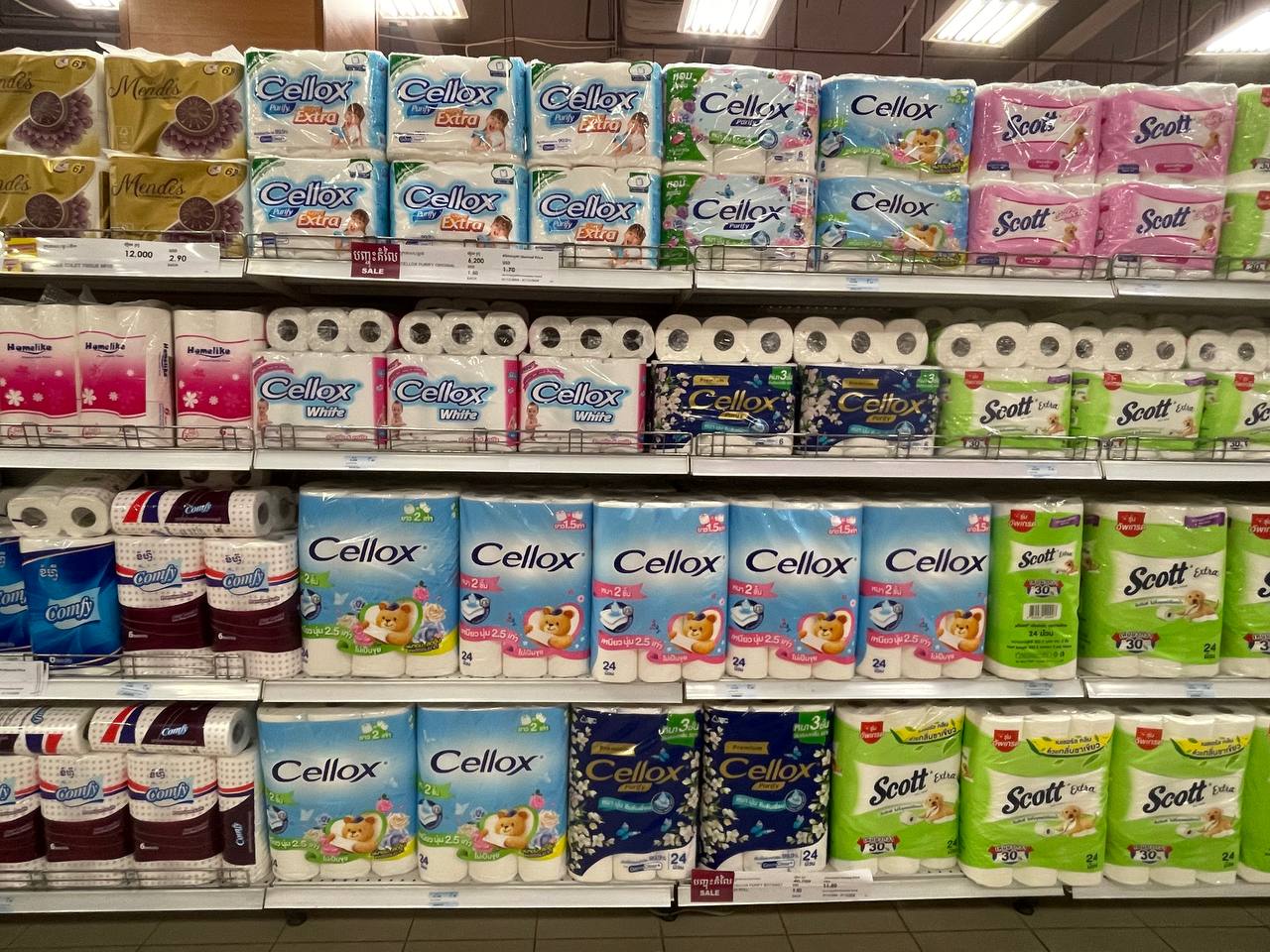 Modern Trade Distribution of Cellox and Hygienist Products by BJC at Makro Cambodia - Image 31